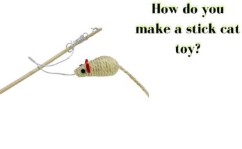 How do you make a Stick Cat Toy?